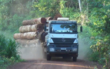 Governo isenta ICMS do cavaco de madeira e atende demanda do setor florestal