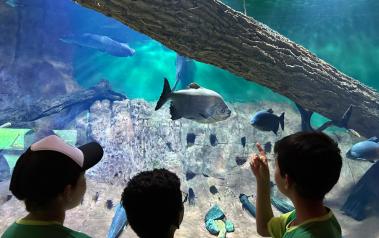 Orgulho de MS: Bioparque Pantanal completa 4 anos como o ''embaixador'' da nossa biodiversidade no mundo